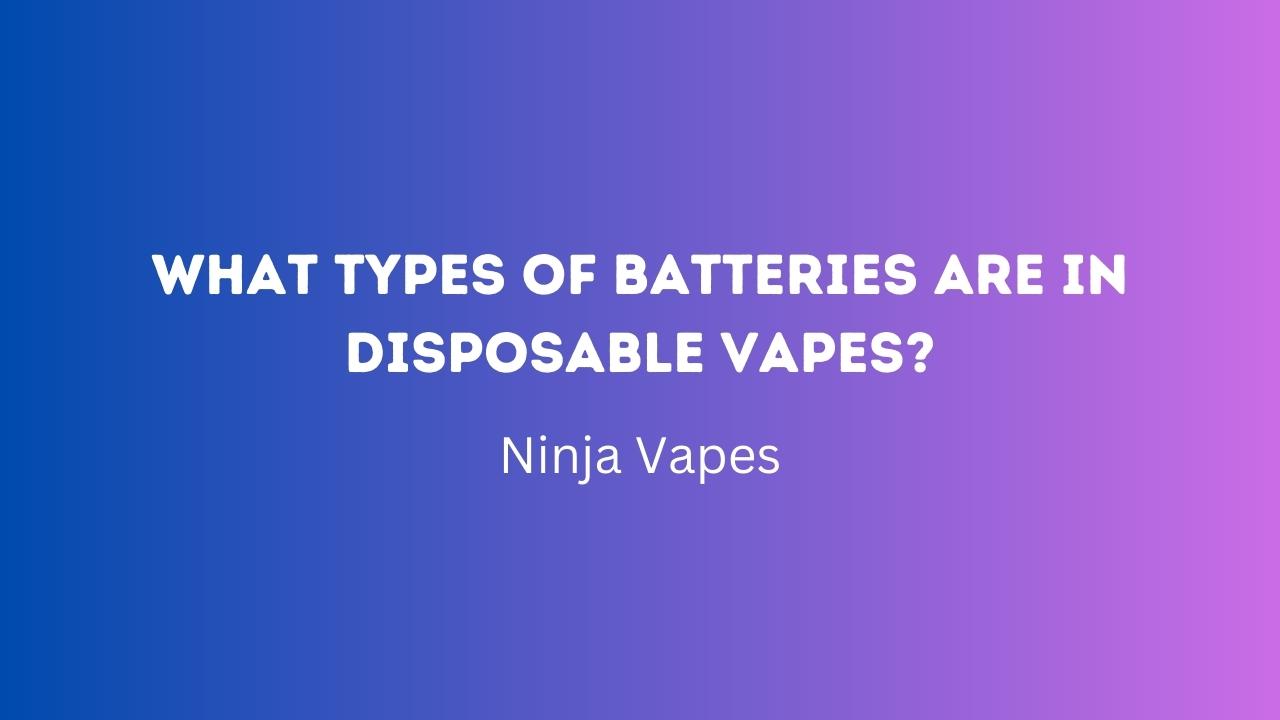 What Types of Batteries Are in Disposable Vapes? | Ninja Vapes