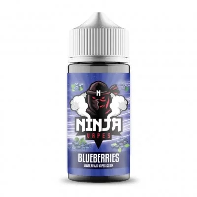 E-Liquid Blueberry 100 ML Shortfill